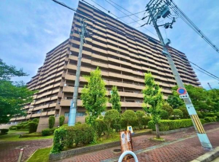 ���̑����n -