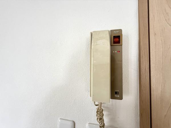 ̑ C^[z