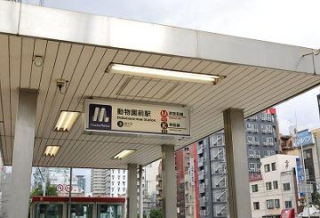 ӊ ywzOw(Osaka@Metro 䓰ؐ)F550u