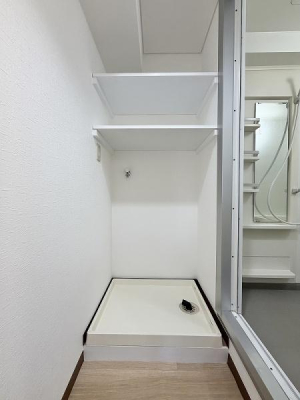 ���̑����� -