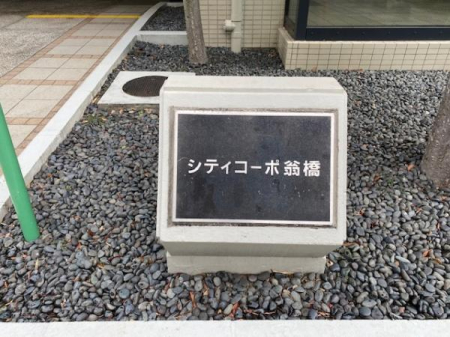 ̑p -