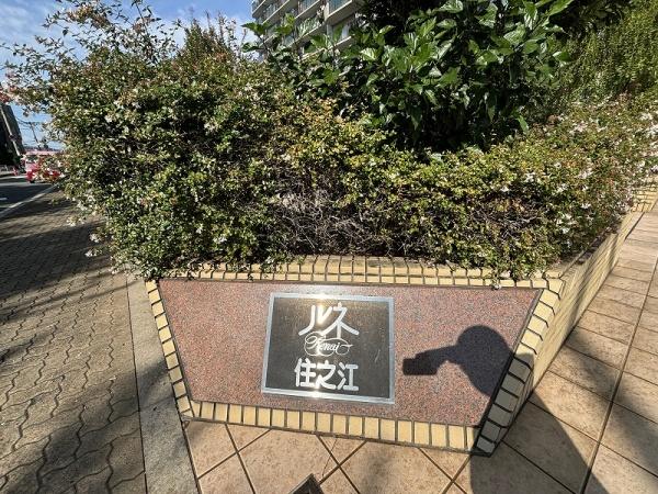  `Iȓ{뉀́AlGʂĂ܂܂ȕ\݂A̗⎭Ђ̉ȂǂŉƂȂ𖡂킹Ă܂B