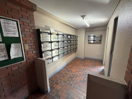 ���̑����p�� -