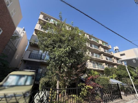 ���̑����n -