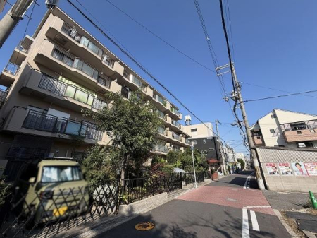 ���̑����n -