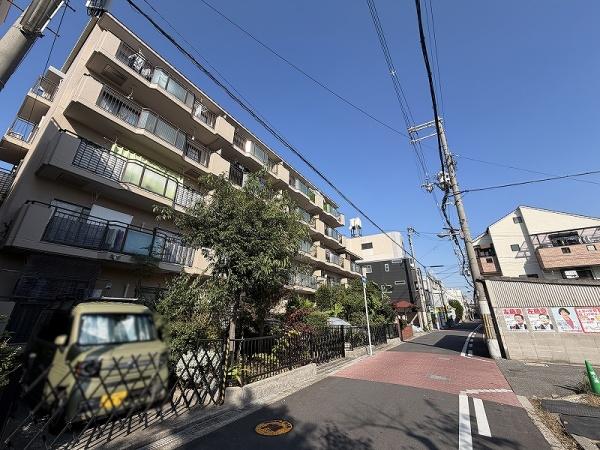 ���̑����n -