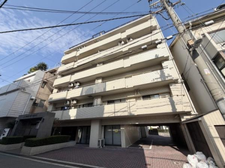 ���̑����n -