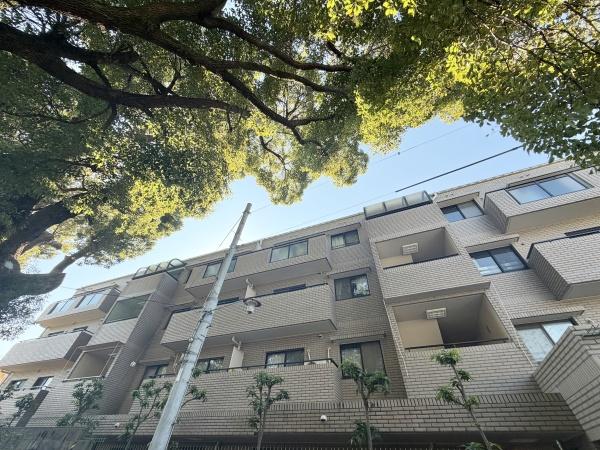 ���̑����n -