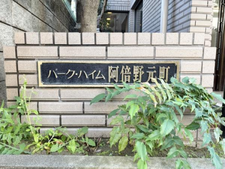 ���̑����n -