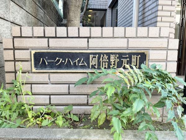 ���̑����n -