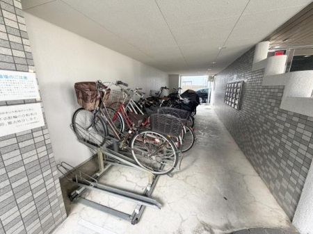 ���̑����n -