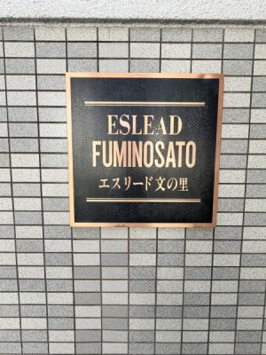 ���̑����n -