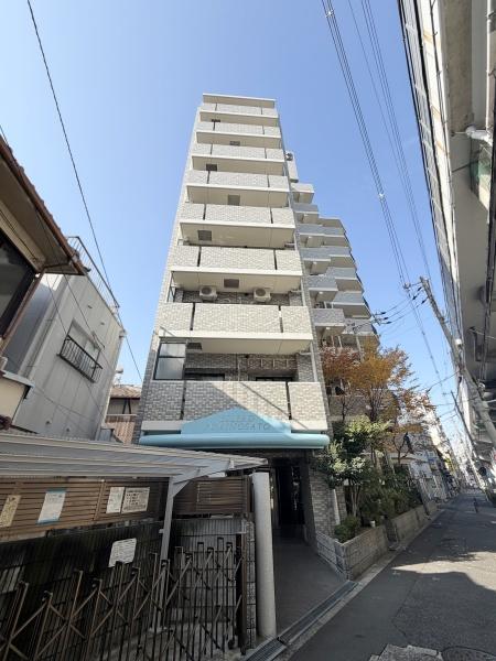 ���̑����n -