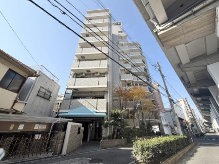 ���̑����n -