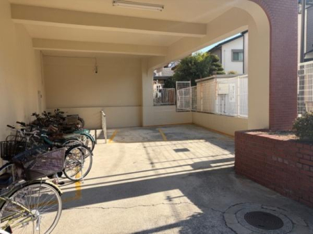 ���̑����n -