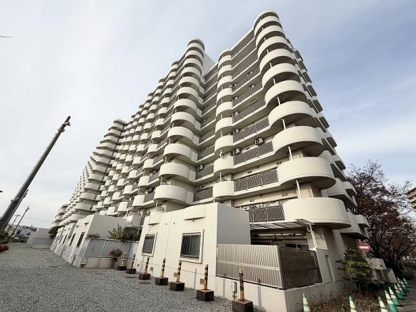 ���̑����n -