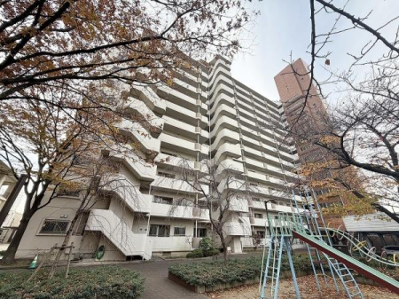 ���̑����n -