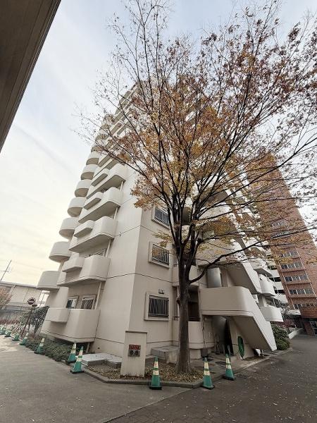 ���̑����n -