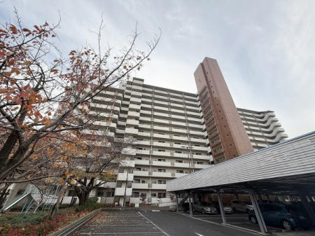 ���̑����n -