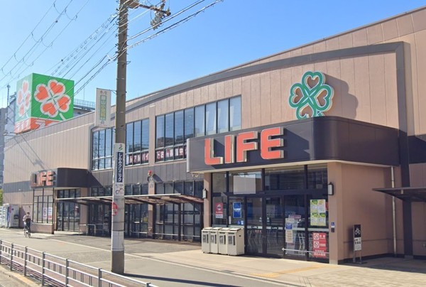 ӊ yX[p[zCtVkXF629u