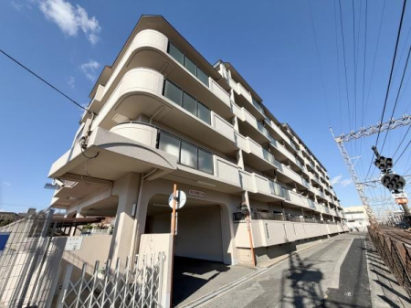 ���̑����n -