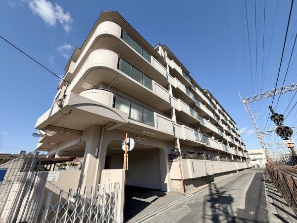 ���̑����n -