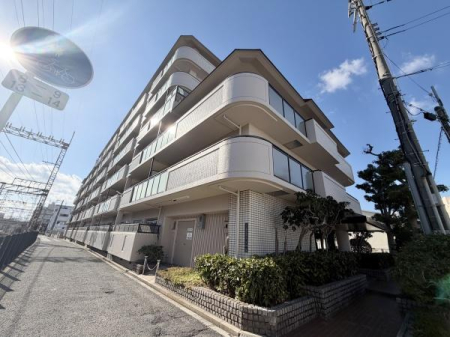 ���̑����n -