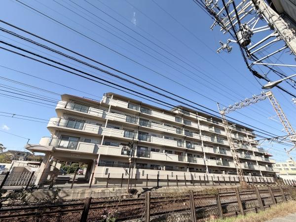 ���̑����n -