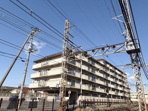 ���̑����n -