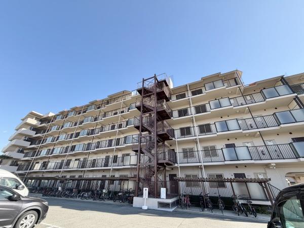 ���̑����n -