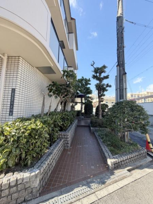 ���̑����n -