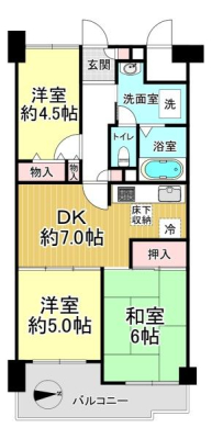 Ԏ} }ʂƌقȂꍇ͌Dƒv܂B