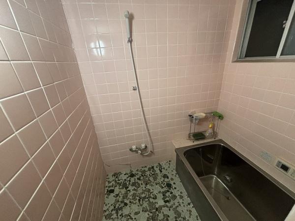 ���d�l�ʐ^(�����j -