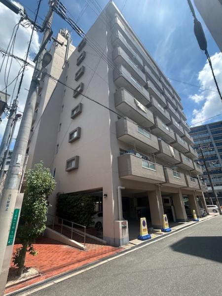 ���̑����n -