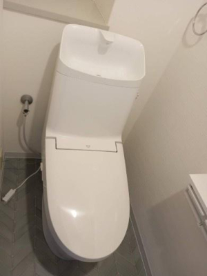 �g�C�� �������̂���g�C���ł��ꂢ�����ς��
