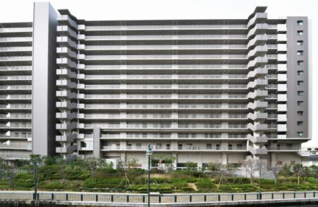 ���̑����n -