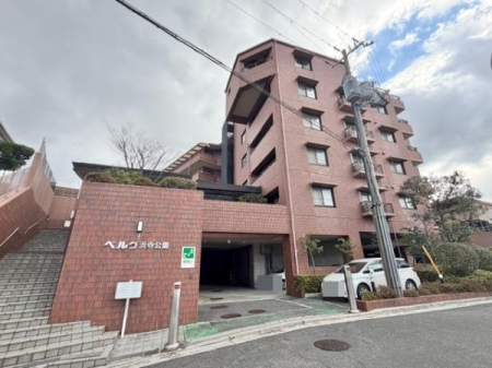 ���̑����n �l�����a���w�Z�܂œk����5��