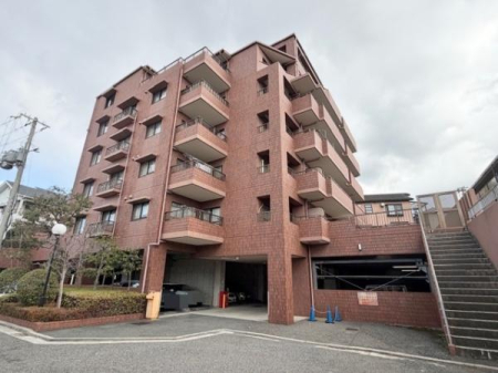 ���̑����n �o���R�j�[���̊O��