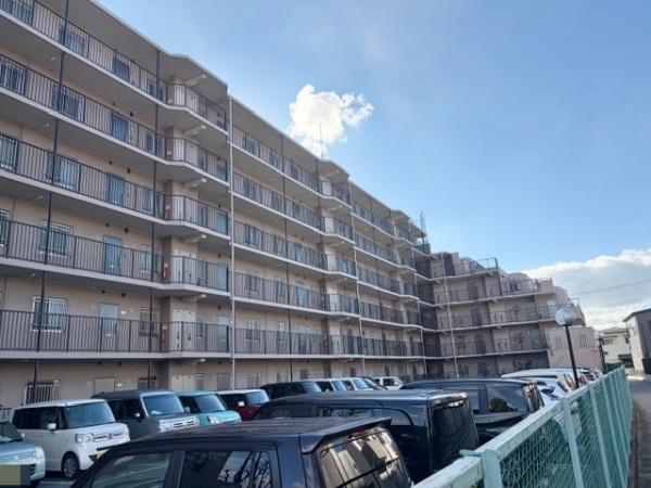 ���̑����n -