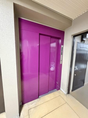 ���̑����p�� �G���x�[�^�[�L