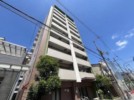 ���̑����n -