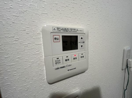 ���̑� ������������~�X�ƃT�E�i�t����