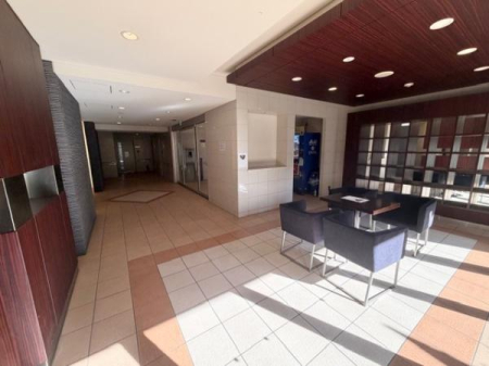 ���r�[ ���q���\�t�@�[�̂��郍�r�[�őΉ��ł��܂��B