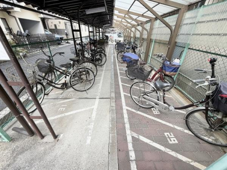 ���̑����p�� -