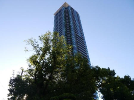 ���n�O�ώʐ^ �V�����w���\���郉���h�}�[�N�̂悤�ȑ��݂Œn����O�̕��X�ɍL���m���Ă���}���V�����I���K���X�Ƌ�̂���̂ɂ����u�K���X�̃J�[�e���E�H�[���v�ɕ����A2007�N�x�̃O�b�h�f�U�C���܂����