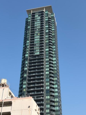 ���̑����n �^���[�}���V����