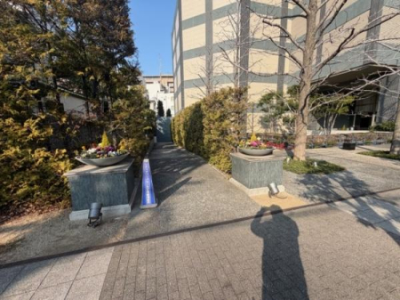 ���̑����n �~�n��