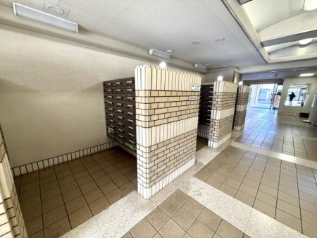 ���̑����p�� -