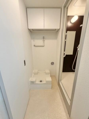 ���ʑ�E���ʏ� ��������@�u�������