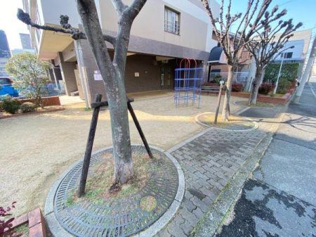 ���̑����n �~�n�������ł��B